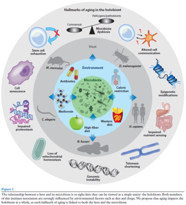 學術沙龍聚焦益生菌研究新進展，完美生科院探索生物產品研發新思路